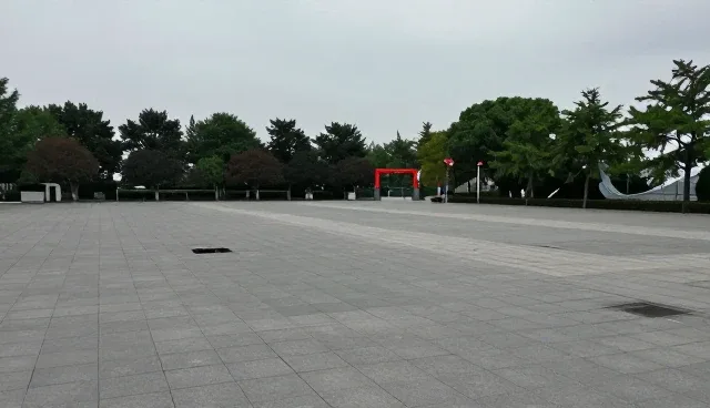 创意呈现：短视频运营选型关注点分析