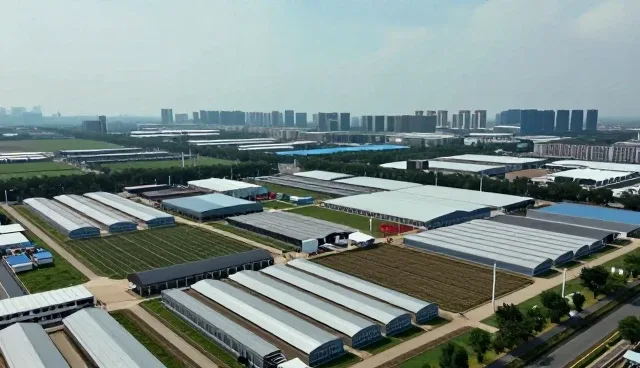 短视频运营中品牌宣传片的应用场景解析